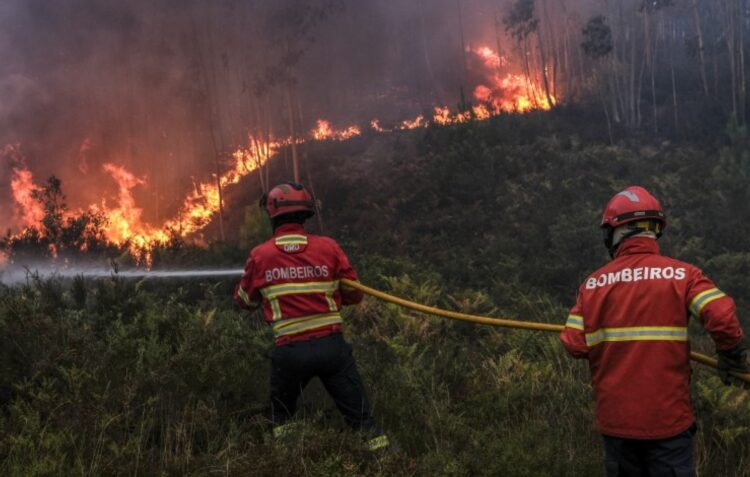 Mais de uma centena de bombeiros combatem incêndio no concelho de Pombal