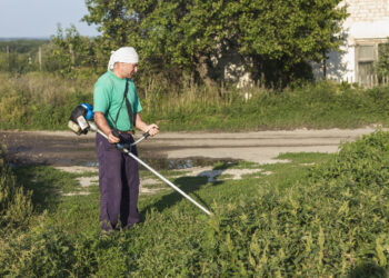 Abandono do glifosato faz germinar queixas entre munícipes
