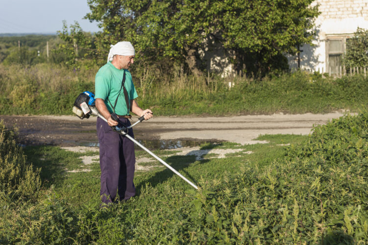 Abandono do glifosato faz germinar queixas entre munícipes