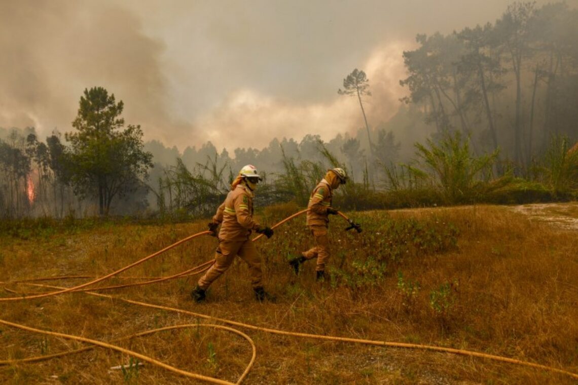 O fogo lavrou em zona florestal, na União de Freguesias de Santiago e São Simão de Litém e Albergaria dos Doze