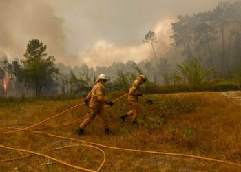 Incêndio no concelho de Pombal está em fase de resolução