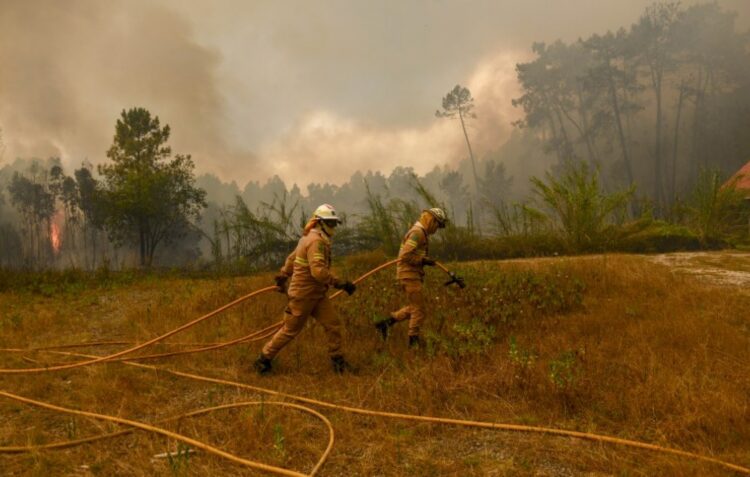Incêndio no concelho de Pombal está em fase de resolução