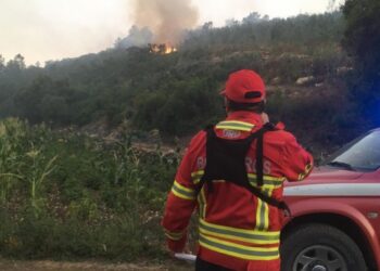 Incêndio no concelho de Pombal dominado durante a noite