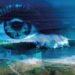 Primeiro Festival Internacional de Artes Visuais da Nazaré arranca no sábado