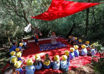 Pinhal das Artes. Câmara e SAMP em conversas para retomar o festival