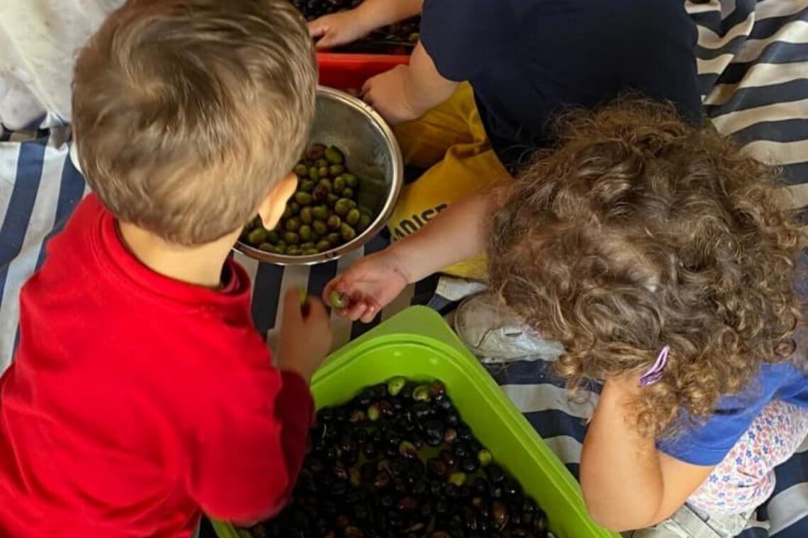 Centro Social e Paroquial dos Pousos cria mais 60 lugares de creche para 2025
