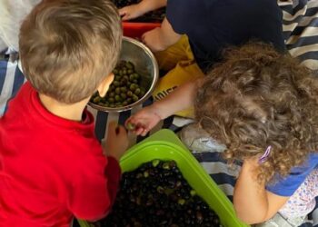 Centro Social e Paroquial dos Pousos cria mais 60 lugares de creche para 2025