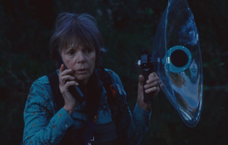 Já são conhecidos os vencedores do terceiro HaHaArt Film Festival