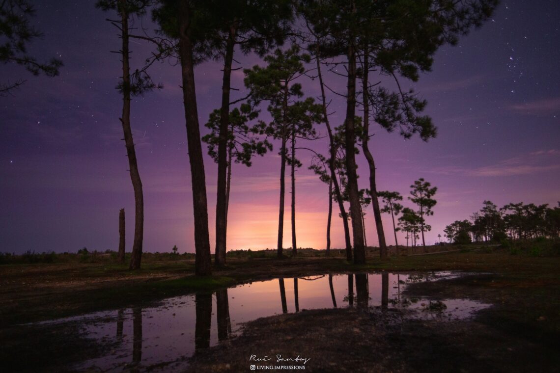 Living Impressions - Photography