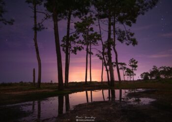Imagens raras de auroras boreais captadas no concelho de Leiria