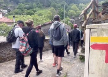 Caminhada dá a conhecer a Rota do Mel e da Castanha em Castanheira de Pera
