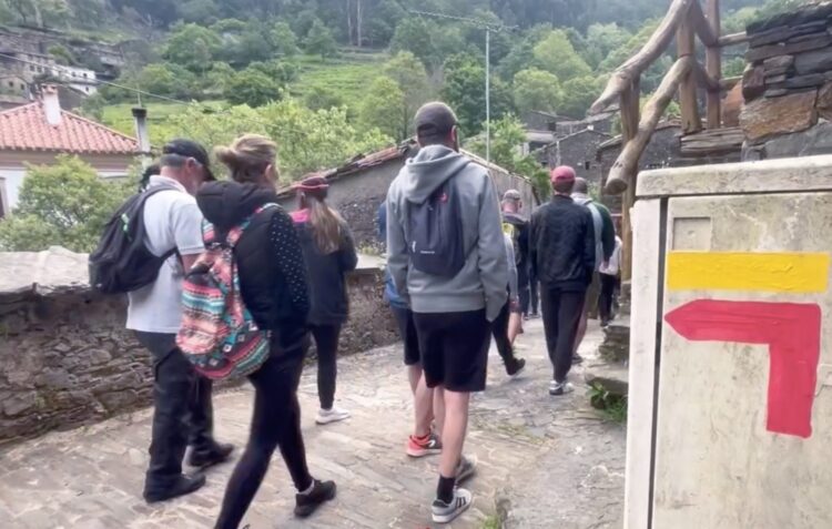 Caminhada dá a conhecer a Rota do Mel e da Castanha em Castanheira de Pera