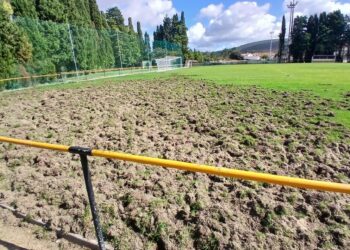 Javalis atacam relvado do campo de futebol de Porto de Mós