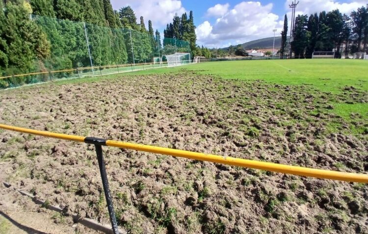 Javalis atacam relvado do campo de futebol de Porto de Mós