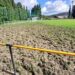 Javalis atacam relvado do campo de futebol de Porto de Mós