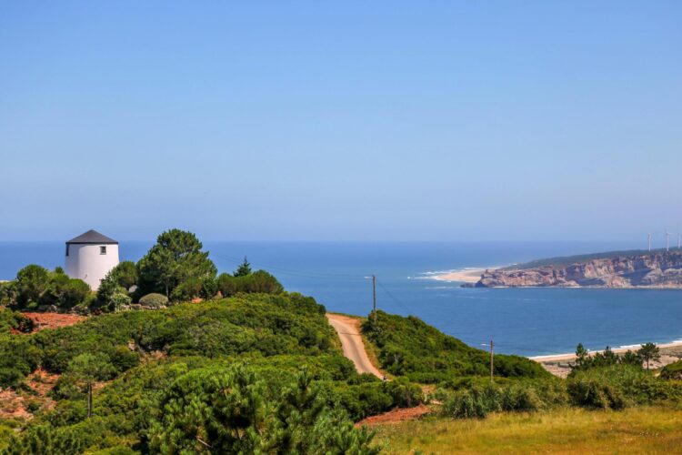 Motas destroem caminhos na Serra da Pescaria, na Nazaré