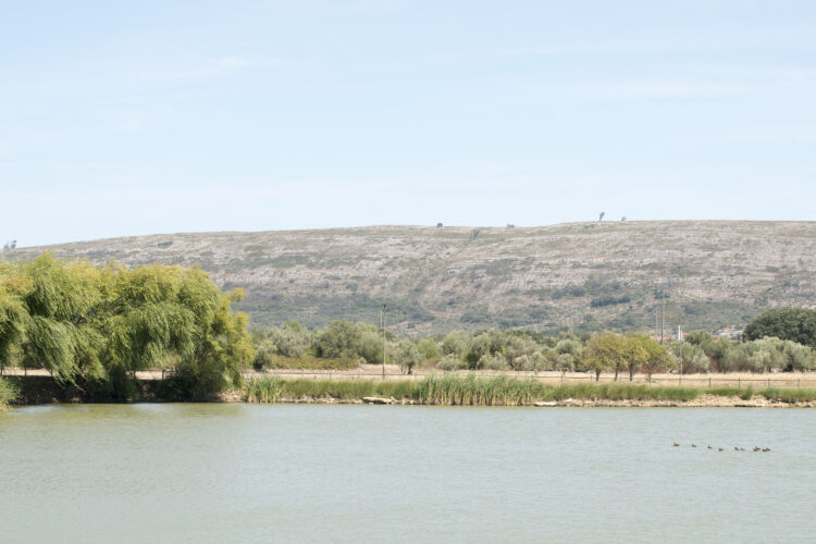Há um novo caminho de Fátima a atravessar a Serra dos Candeeiros