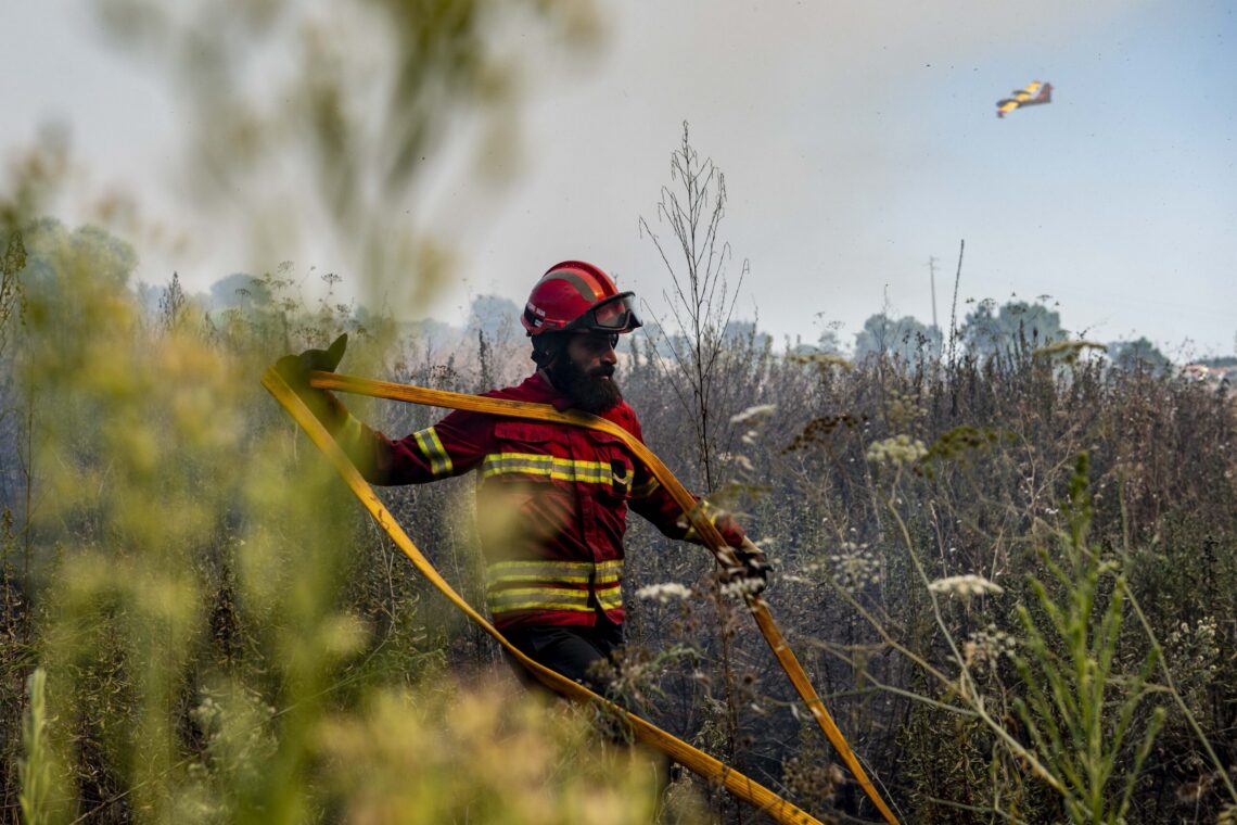 Carlos Guerra atribui o sucesso do combate aos operacionais no terreno