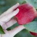 Startup Leiria e Grupo Lusiaves em Alcobaça para capacitar sector agroalimentar