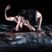 Dança e música estreiam formato de espectáculos em dose dupla no Teatro Stephens