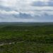 “Asneiras”, “desleixo”, “abandono”. A gestão do Pinhal de Leiria continua debaixo de fogo