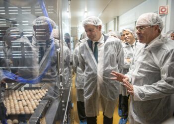 Novo Centro de Incubação da Lusiaves aumenta em 62 milhões a produção de pintos