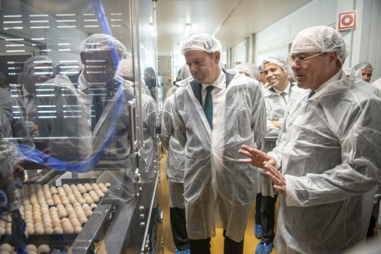 Novo Centro de Incubação da Lusiaves aumenta em 62 milhões a produção de pintos
