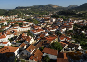 Carreira ‘rápida’ vai ligar Porto de Mós  e Leiria a cada  meia hora