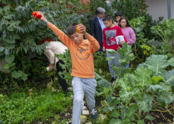 Pequenos agricultores da Benedita são embaixadores da economia circular