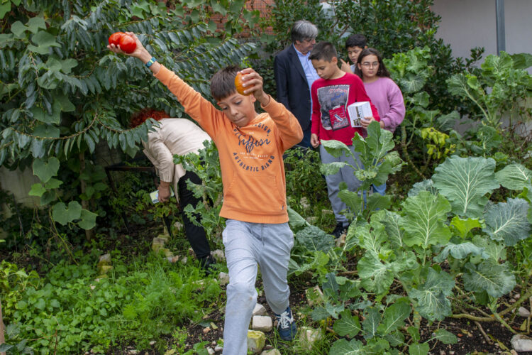 Pequenos agricultores da Benedita são embaixadores da economia circular