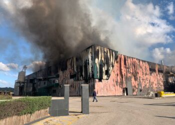 Incêndio deflagrou em fábrica de pellets nas Colmeias