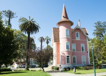 Alcobaça promove workshop sobre refeições com sobras de alimentos