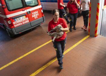 Bombeiros: Uma história de 125 anos, contas em dia e projectos na manga