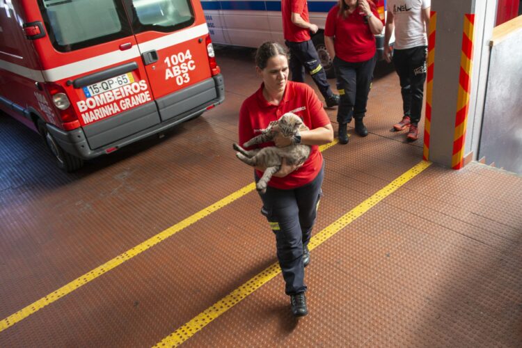 Bombeiros: Uma história de 125 anos, contas em dia e projectos na manga