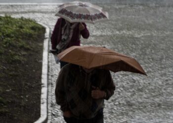 Leiria regista 27 ocorrências devido ao vento forte