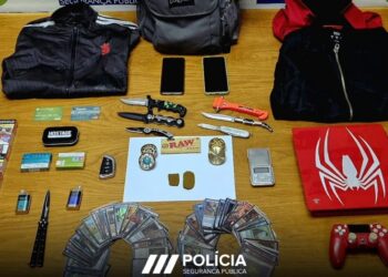 PSP apreende artigos furtados em Leiria e jovem de 21 anos é constituído arguido