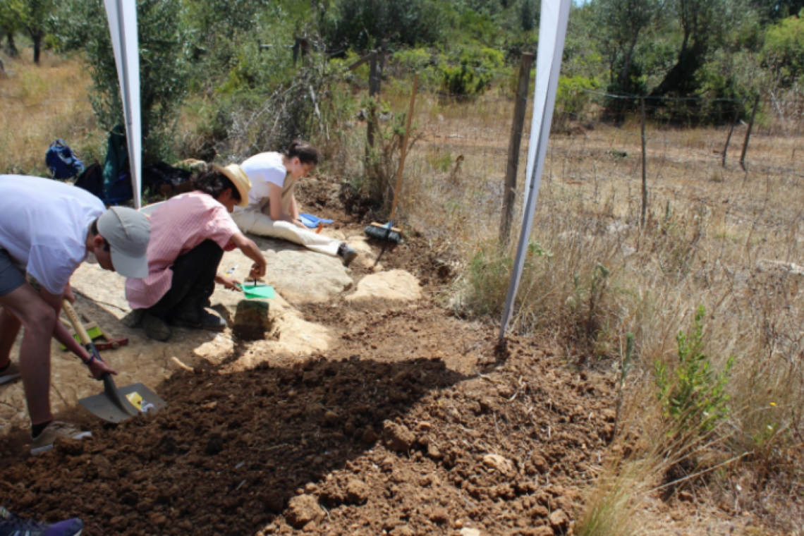 Trabalhos de campo realizados em Julho de 2022