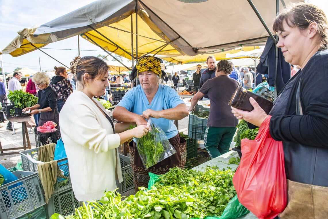 Feira de Pataias, o ponto de encontro domingueiro há mais de 80 anos