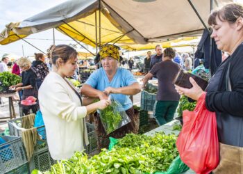Feira de Pataias, o ponto de encontro domingueiro há mais de 80 anos