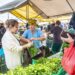 Feira de Pataias, o ponto de encontro domingueiro há mais de 80 anos