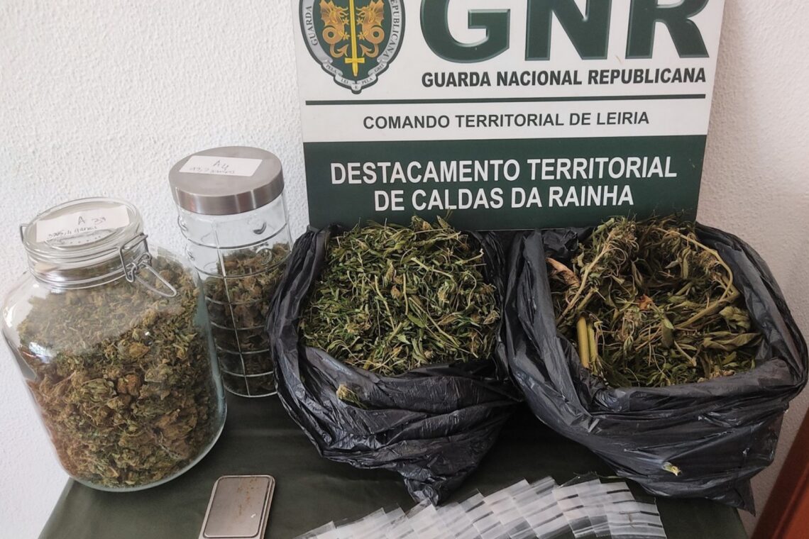 Investigação da GNR levou à apreensão de 550 doses de liamba em Pataias