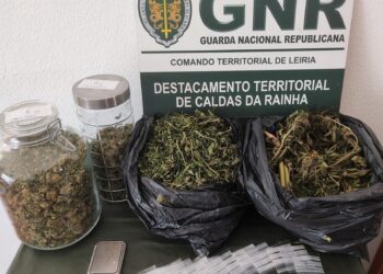 Investigação da GNR levou à apreensão de 550 doses de liamba em Pataias