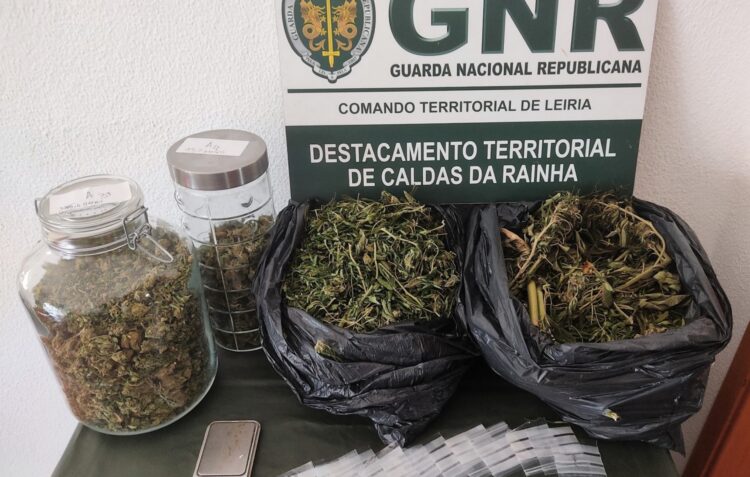 Investigação da GNR levou à apreensão de 550 doses de liamba em Pataias