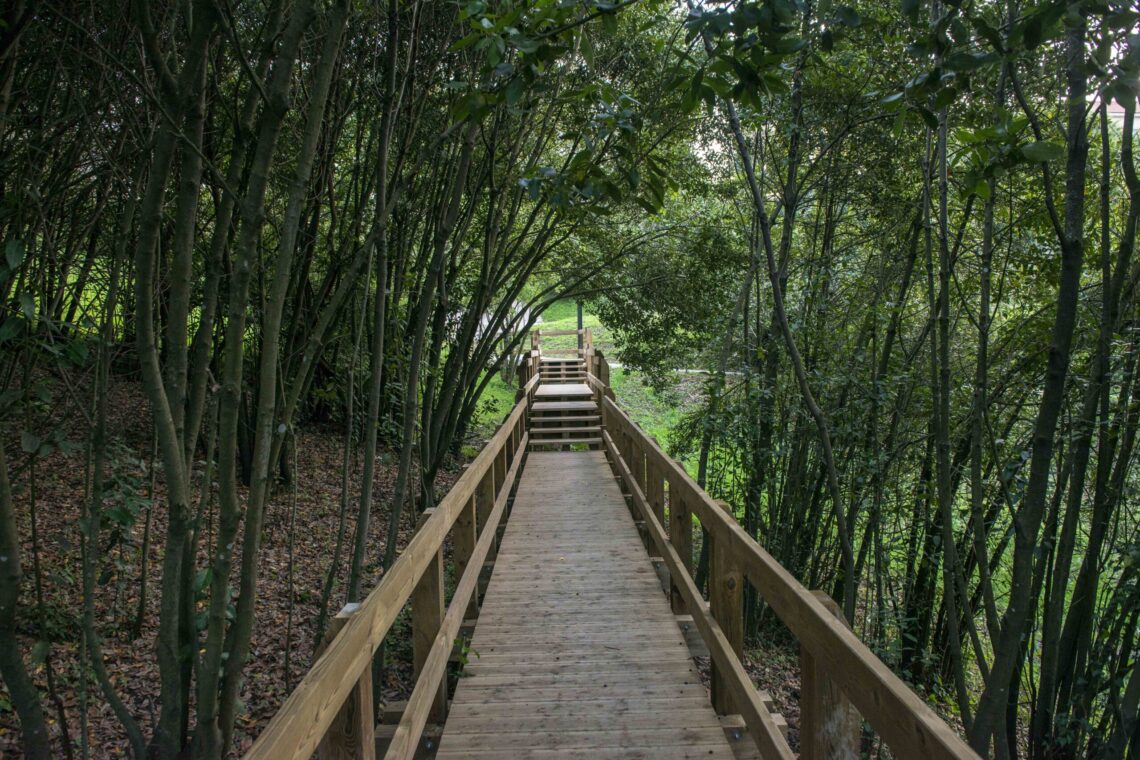 Parque verde da encosta do Castelo vai ter o nome de José Mattoso