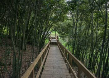 Leiria evoca José Mattoso com inauguração de parque e fórum