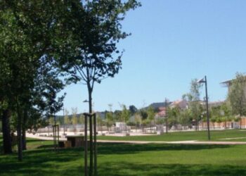 Ourém aprova projecto para ampliar parque  da cidade com mais três mil árvores