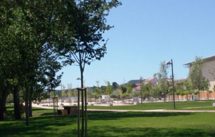Ourém aprova projecto para ampliar parque  da cidade com mais três mil árvores