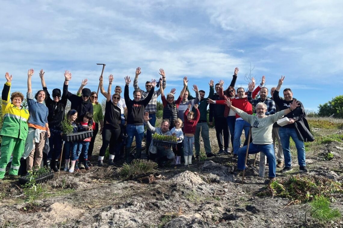 Voluntários aproveitaram a época mais propícia do ano para proceder à plantação de árvores