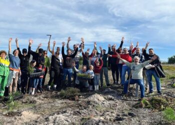 AleCarPeças, Auto Delta e Fimag plantaram mil árvores no Pinhal de Leiria