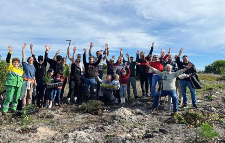 AleCarPeças, Auto Delta e Fimag plantaram mil árvores no Pinhal de Leiria